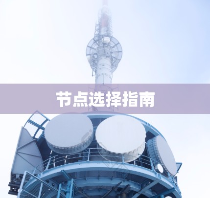 节点选择指南 节点选择指南