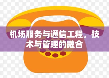 机场服务与通信工程,技术与管理的融合 机场服务与通信工程,技术与管理的融合