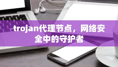trojan代理节点，网络安全中的守护者