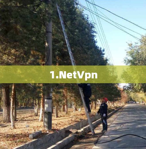 1.NetVpn 1.NetVpn