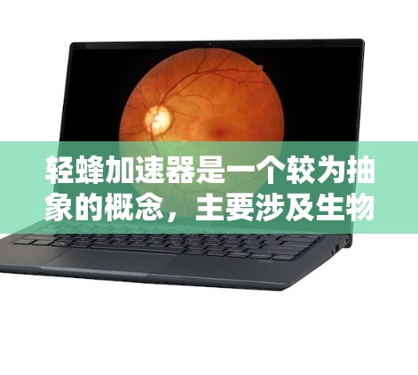 轻蜂加速器是一个较为抽象的概念,主要涉及生物技术或生物工程中的应用。以下是对这一概念的分步解释 轻蜂加速器是一个较为抽象的概念,主要涉及生物技术或生物工程中的应用。以下是对这一概念的分步解释