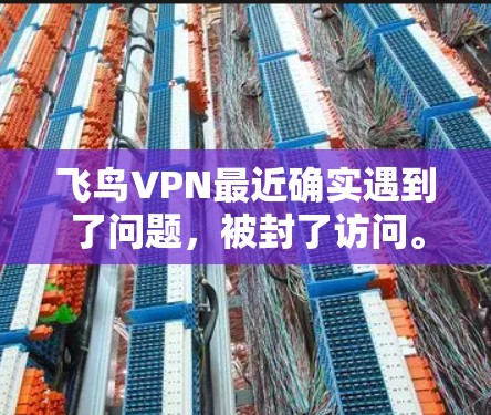 飞鸟VPN最近确实遇到了问题，被封了访问。以下是一些可能的原因和解决方法