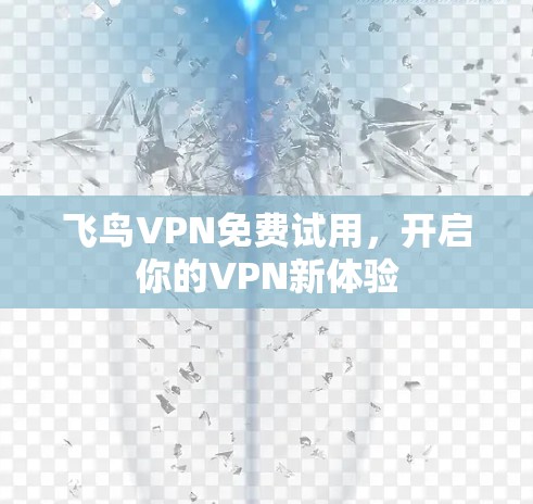 飞鸟VPN免费试用,开启你的VPN新体验 飞鸟VPN免费试用,开启你的VPN新体验