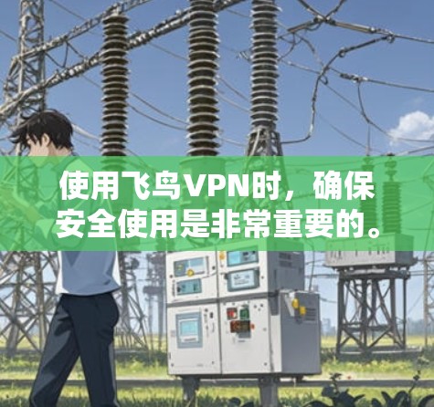 使用飞鸟VPN时，确保安全使用是非常重要的。以下是一些关键步骤和注意事项，帮助你顺利使用飞鸟VPN
