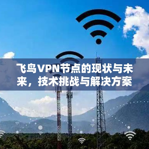 飞鸟VPN节点的现状与未来，技术挑战与解决方案