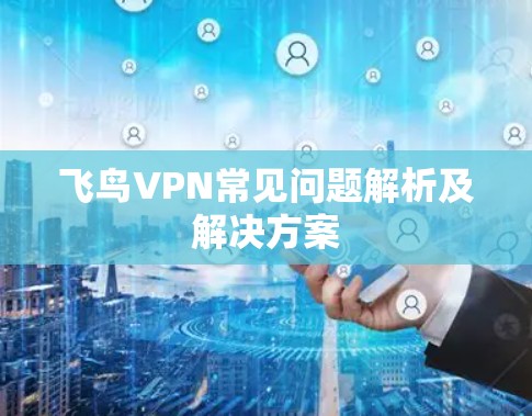 飞鸟VPN常见问题解析及解决方案 飞鸟VPN常见问题解析及解决方案