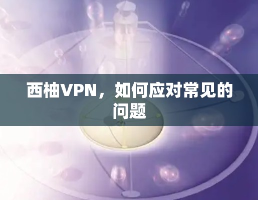 西柚VPN，如何应对常见的问题