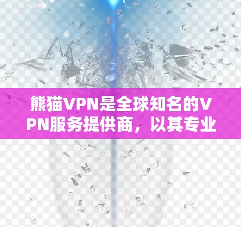 熊猫VPN是全球知名的VPN服务提供商，以其专业的技术和稳定的网络保障著称。以下是关于熊猫VPN的评测