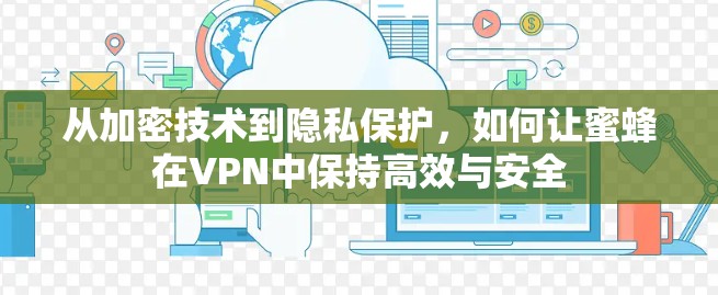 从加密技术到隐私保护,如何让蜜蜂在VPN中保持高效与安全 从加密技术到隐私保护,如何让蜜蜂在VPN中保持高效与安全