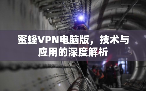 蜜蜂VPN电脑版,技术与应用的深度解析 蜜蜂VPN电脑版,技术与应用的深度解析