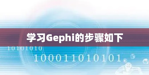 学习Gephi的步骤如下