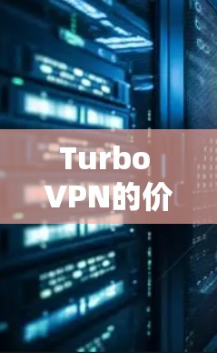 Turbo VPN的价格分析及购买建议