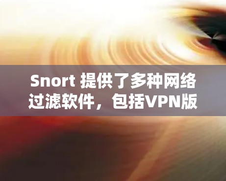 Snort 提供了多种网络过滤软件，包括VPN版。以下是关于Snort的VPN版的详细介绍