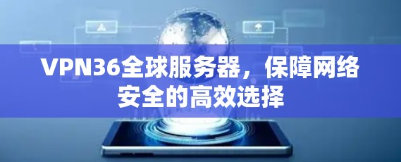 VPN36全球服务器，保障网络安全的高效选择