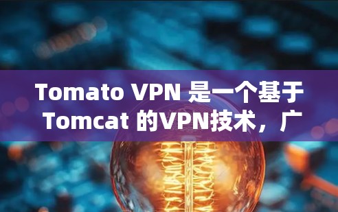 Tomato VPN 是一个基于 Tomcat 的VPN技术，广泛应用于 web 和 web 环境，提供加密、防火墙、多点连接和多设备支持等功能。以下是使用 Tomato VPN 的电脑版的步骤指南