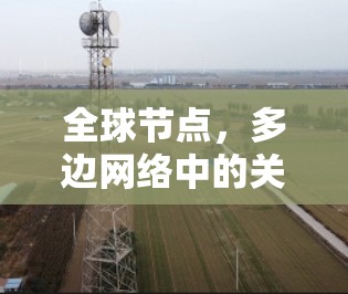全球节点,多边网络中的关键角色与作用 全球节点,多边网络中的关键角色与作用