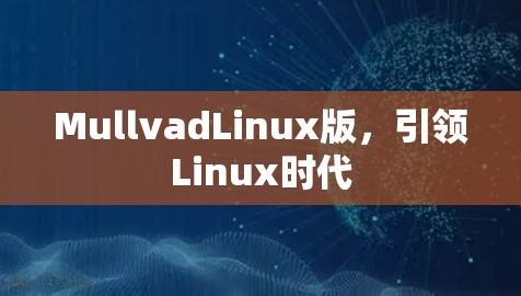 MullvadLinux版,引领Linux时代 MullvadLinux版,引领Linux时代