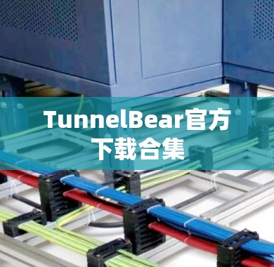 TunnelBear官方下载合集