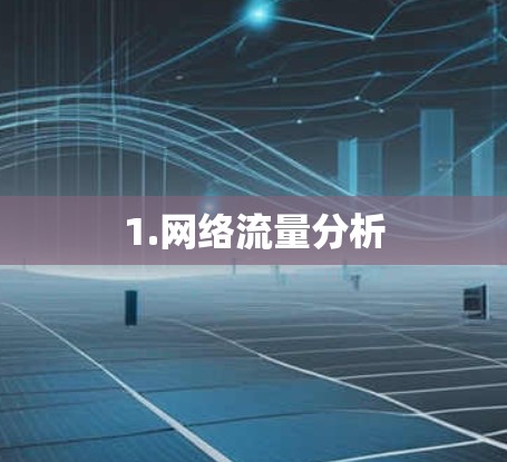 1.网络流量分析 1.网络流量分析