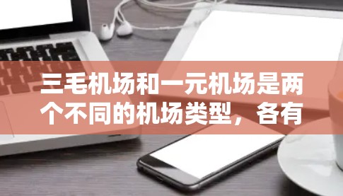 三毛机场和一元机场是两个不同的机场类型，各有其特点和市场定位。以下是对这两个机场的详细介绍
