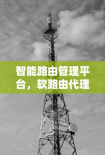 智能路由管理平台,软路由代理的创新应用与未来展望 智能路由管理平台,软路由代理的创新应用与未来展望