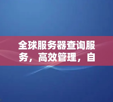 全球服务器查询服务,高效管理,自动化管理,助力企业高效运营 全球服务器查询服务,高效管理,自动化管理,助力企业高效运营