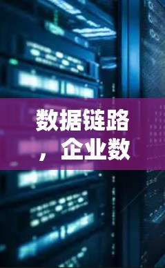 数据链路,企业数据连接的创新路径 数据链路,企业数据连接的创新路径