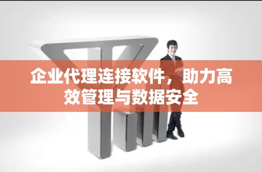 企业代理连接软件,助力高效管理与数据安全 企业代理连接软件,助力高效管理与数据安全