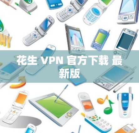花生 VPN 官方下载 最新版 花生 VPN 官方下载 最新版