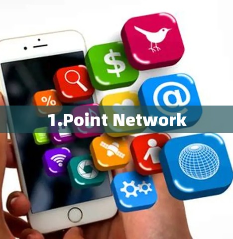 1.Point Network