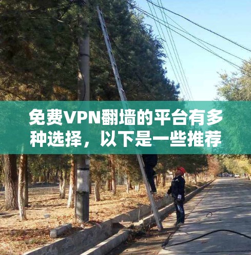 免费VPN翻墙的平台有多种选择,以下是一些推荐 免费VPN翻墙的平台有多种选择,以下是一些推荐