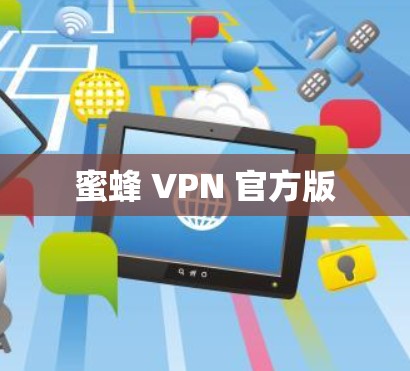 蜜蜂 VPN 官方版 蜜蜂 VPN 官方版