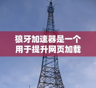 狼牙加速器是一个用于提升网页加载速度的工具,通常在手机或电脑上使用。如果您想在移动端使用狼牙加速器,以下是一些可能的步骤和建议 狼牙加速器是一个用于提升网页加载速度的工具,通常在手机或电脑上使用。如果您想在移动端使用狼牙加速器,以下是一些可能的步骤和建议