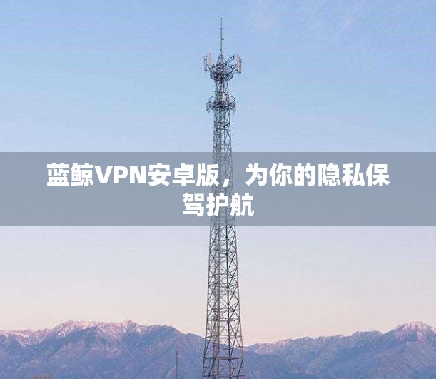 蓝鲸VPN安卓版,为你的隐私保驾护航 蓝鲸VPN安卓版,为你的隐私保驾护航
