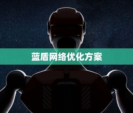 蓝盾网络优化方案 蓝盾网络优化方案