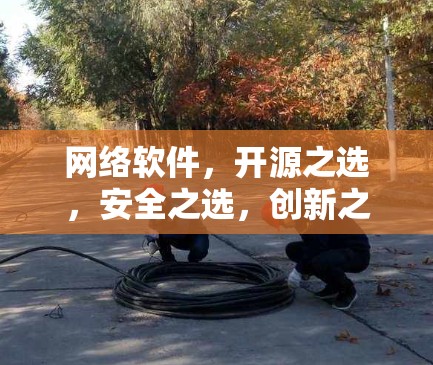 网络软件,开源之选,安全之选,创新之选 网络软件,开源之选,安全之选,创新之选