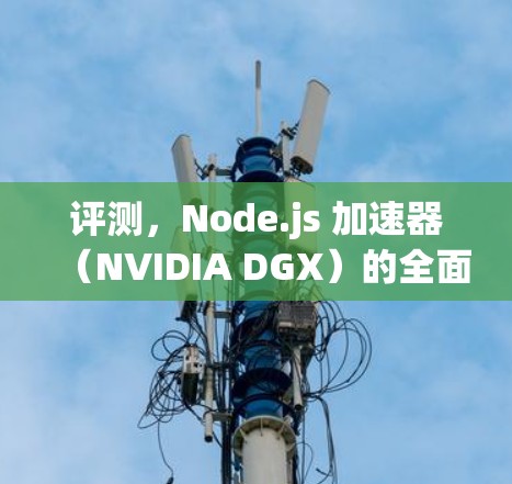 评测,Node.js 加速器(NVIDIA DGX)的全面评测 评测,Node.js 加速器(NVIDIA DGX)的全面评测