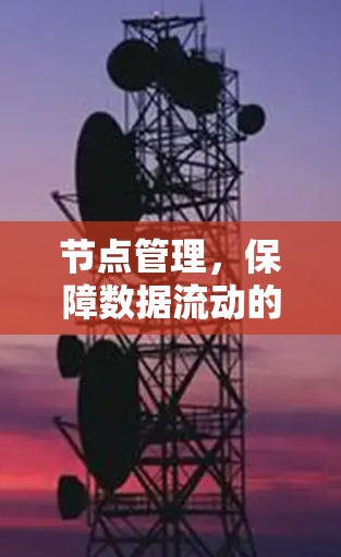 节点管理,保障数据流动的关键环节 节点管理,保障数据流动的关键环节