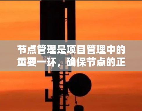 节点管理是项目管理中的重要一环,确保节点的正确创建、访问、改写和删除,以及与外部系统的有效交互。以下是一些节点管理的精选内容,涵盖从创建到监控、管理、错误处理等方面的知识,帮助你更好地管理节点 节点管理是项目管理中的重要一环,确保节点的正确创建、访问、改写和删除,以及与外部系统的有效交互。以下是一些节点管理的精选内容,涵盖从创建到监控、管理、错误处理等方面的知识,帮助你更好地管理节点