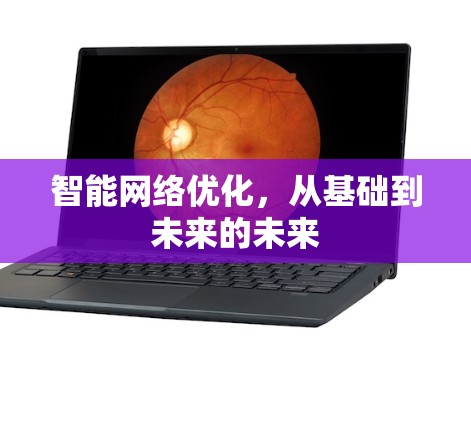 智能网络优化,从基础到未来的未来 智能网络优化,从基础到未来的未来
