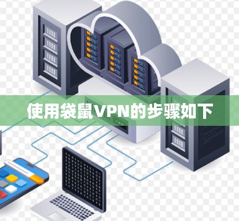 使用袋鼠VPN的步骤如下 使用袋鼠VPN的步骤如下